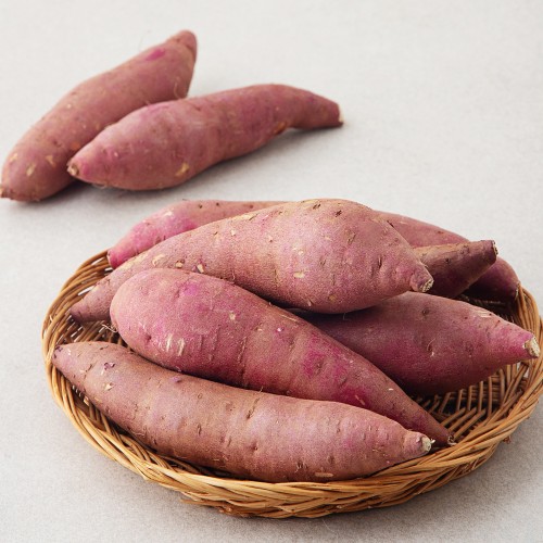 Image 7248