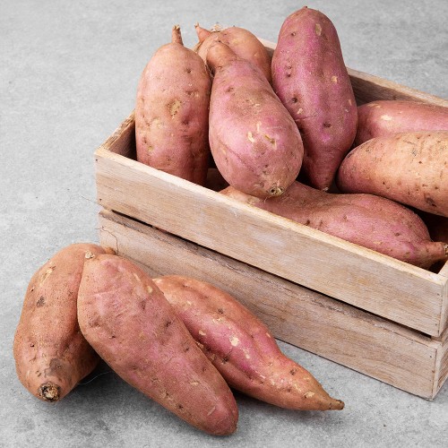 Image 7251