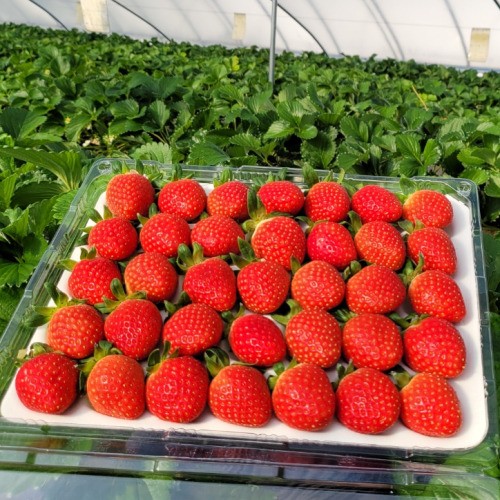 Image 7856