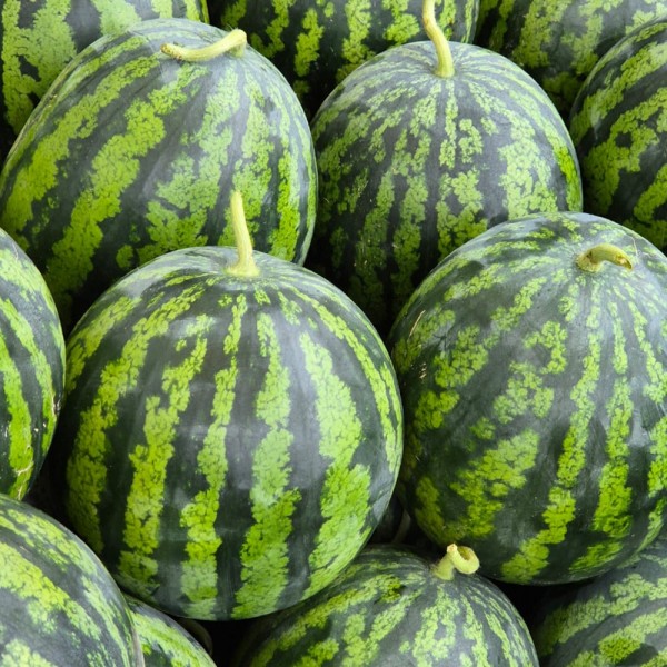 2072879897_FMriORAB_017c2ed16b55b0746195104e71c0308e49038921.png