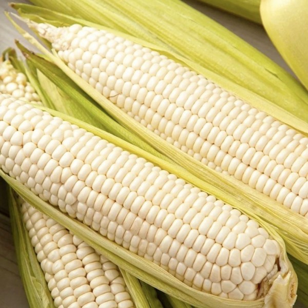 2072879929_6QtNfDLM_722fc6d0ac88f5161346930e4237d8f6e8c1f43d.png
